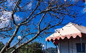Instaview Kanatal